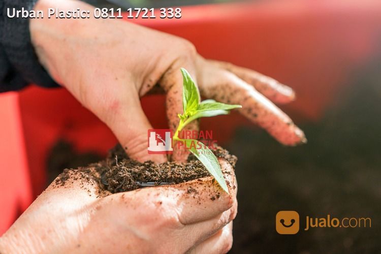 Plastik Polybag Terdekat / Harga Plastik Polybag Merk Urban Plastic