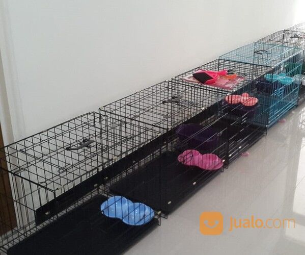 Penitipan / Penginapan Kucing Surabaya PROMO