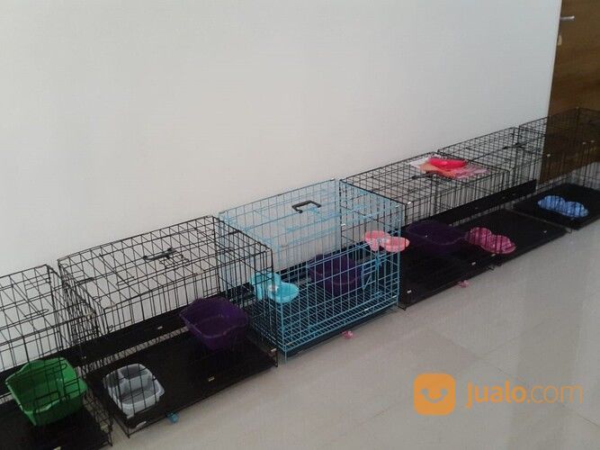 Penitipan / Penginapan Kucing Surabaya PROMO