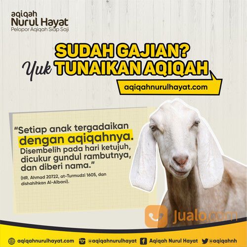HARGA AQIQAH NURUL HAYAT MALANG MALANG