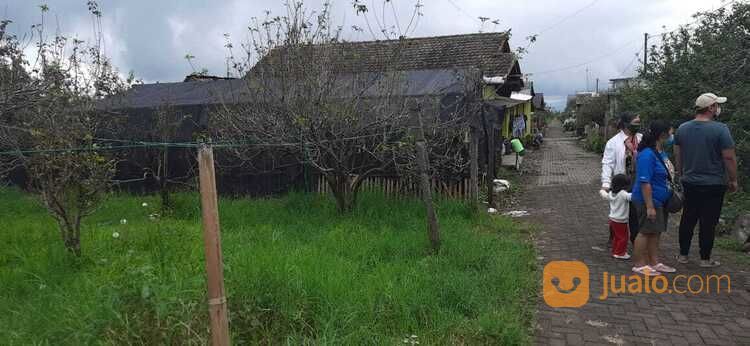 Kebun Apel Murah Dengan View Pegunungan Cantik Di Kota Batu