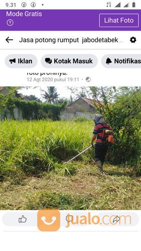 Jasa Potong Rumput Parung Wa 085641290679