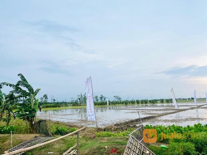 Di Tanah Kavling Di Tambelang