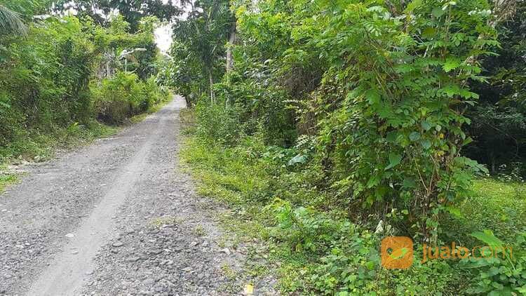 Tanah Kebun Buah Buahan Di Lombok Tengah