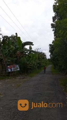 Tanah Kebun Buah Buahan Di Lombok Tengah