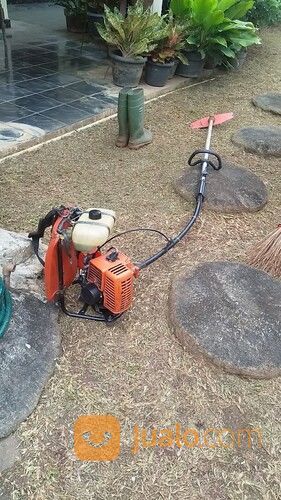 Jasa Potong Rumput Jakarta Utara