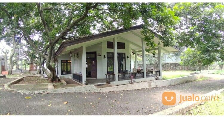 Rumah Elegan Unik Asri Halaman Luas Di Cipedak Jakarta Selatan 14 M