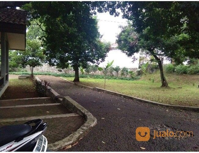 Rumah Elegan Unik Asri Halaman Luas Di Cipedak Jakarta Selatan 14 M