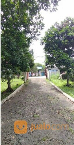 Rumah Elegan Unik Asri Halaman Luas Di Cipedak Jakarta Selatan 14 M