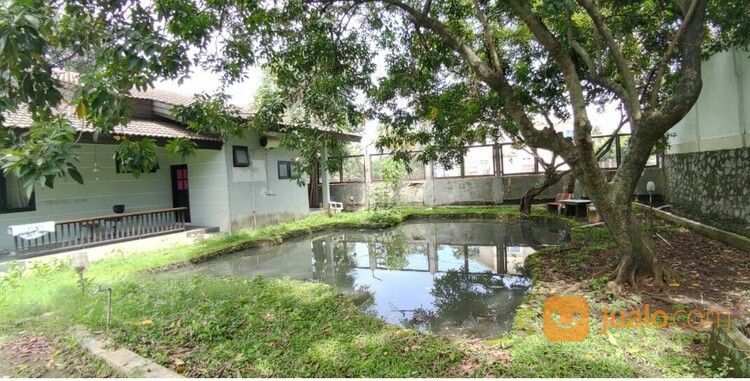Rumah Elegan Unik Asri Halaman Luas Di Cipedak Jakarta Selatan 14 M