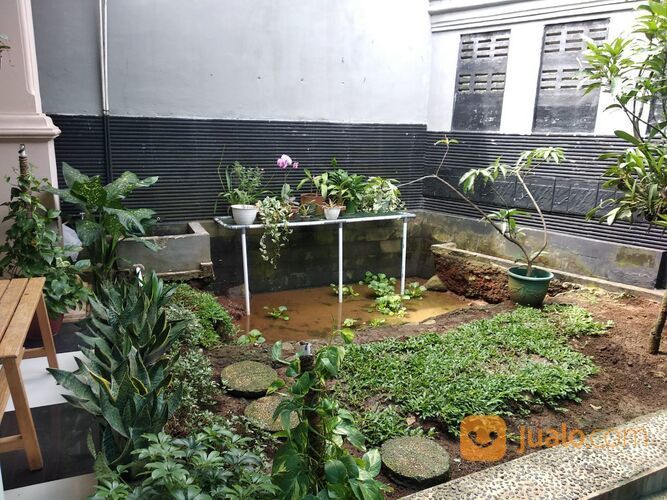 Rumah Pintu Ledeng Ciomas Bogor