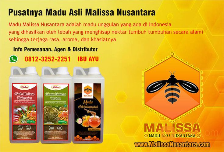 LULUS UJI LAB !! WA : 0812-3252-2251 (Tsel) Produsen Madu Klanceng Di Semarang