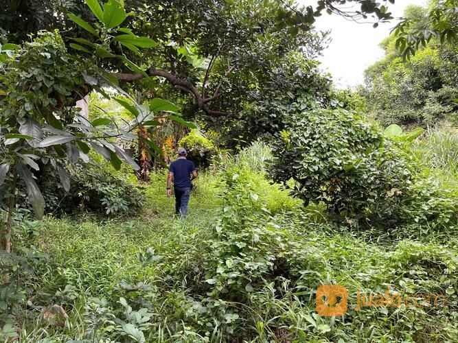 Pamulang Tangerang Selatan