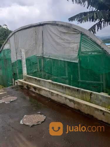 Tanah Murah Strategis Di Cembo Batu