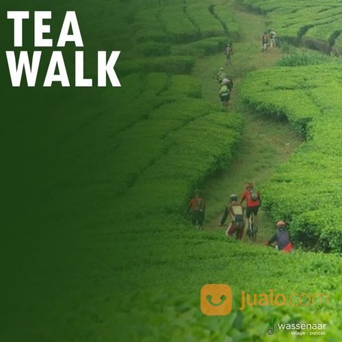 Villa Di Puncak Fasilitas Jogging Track