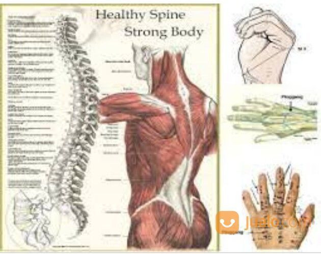 SARAF KEJEPIT / SAKIT PINGGANG (HNP)