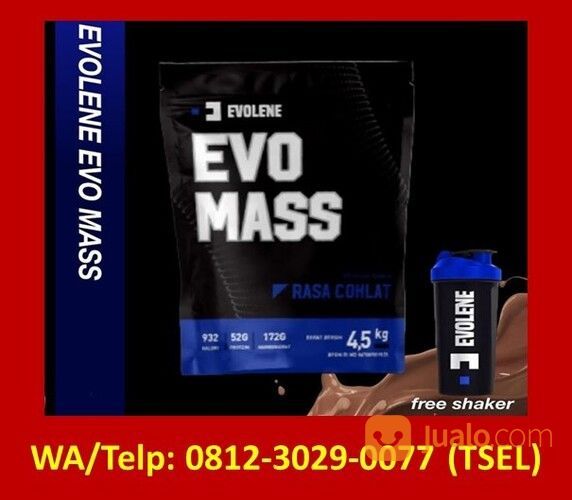 Evomass Lembata | Wa/Telp : 0812-3029-0077 (TSEL)