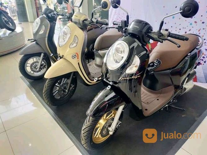 SCOOPY FASHION - NEW