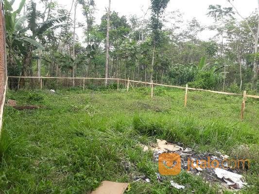Borongan Rumah Probolinggo Jawa Timur Murah