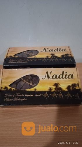 Raja Kurma Bermutu & Berkualitas