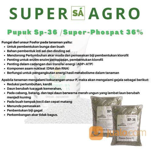 Pupuk TSP/SP36 Kemasan Ecer 1kg Pupuk Murah Super Phospat 36% Petrokimia