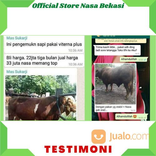 Vitamin Ternak Untuk Unggas Organik - Vit.Ayam Petelur - Vit.Bebek - VITERNA Plus 500ml