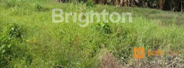 Kavling Harga Murah Sekali Di Kuwukan Garuda Ramayana