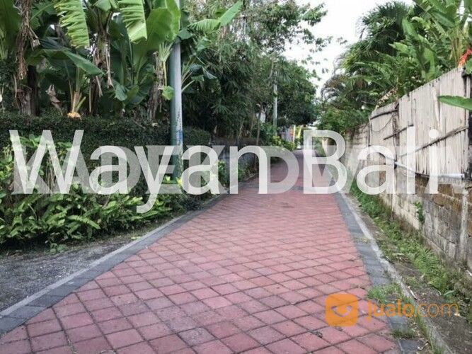 Tanah Di Tegal Cupek Kerobokan