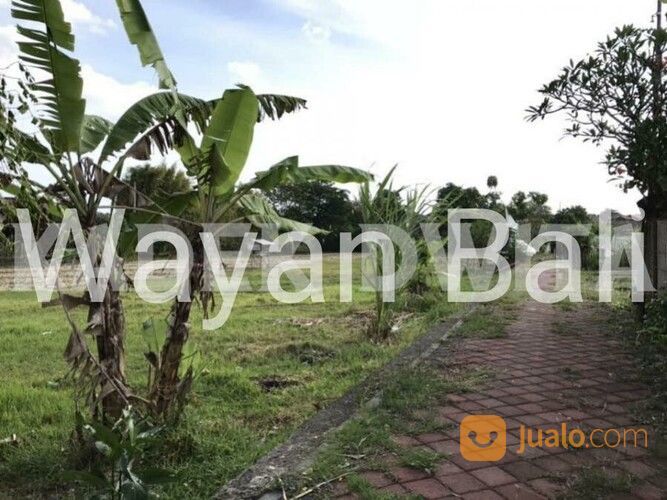 Tanah Di Tegal Cupek Kerobokan