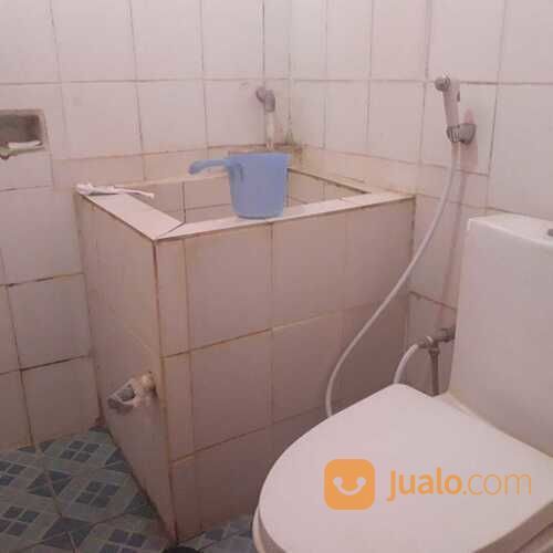 Rumah Halaman Luas Tengah Kota Dekat Unsoed GOR Satria Purwokerto Utara