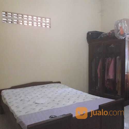 Rumah Halaman Luas Tengah Kota Dekat Unsoed GOR Satria Purwokerto Utara