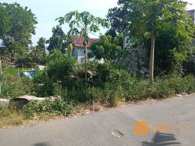 Tanah Timur Lava Bantal Madurejo Prambanan Sleman Yogyakarta (A.2505)