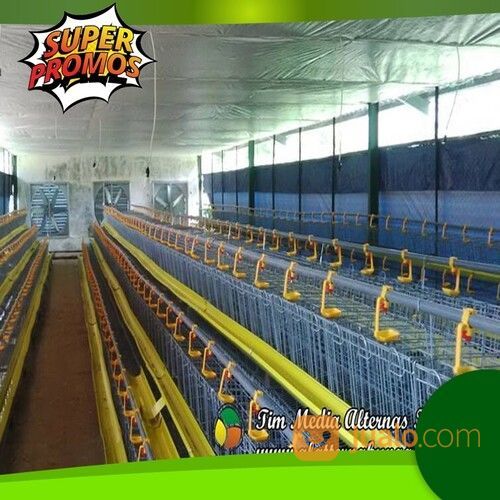 HP/WA: 0822-4535-2979 JASA PEMBUATAN KANDANG AYAM CLOSE HOUSE