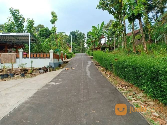 Tanah Kebun Durian 1 Hektar Karangpandan Karanganyar