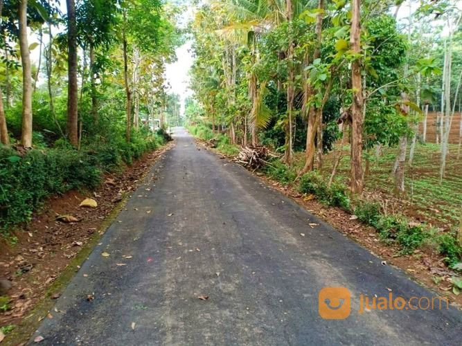 Tanah Kebun Durian 1 Hektar Karangpandan Karanganyar