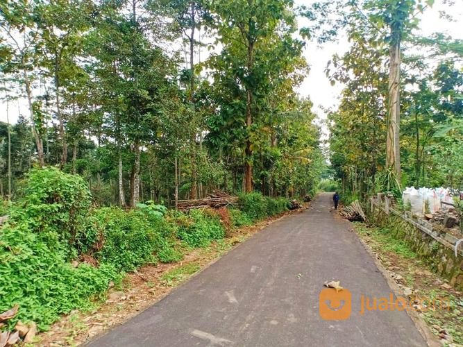 Tanah Kebun Durian 1 Hektar Karangpandan Karanganyar
