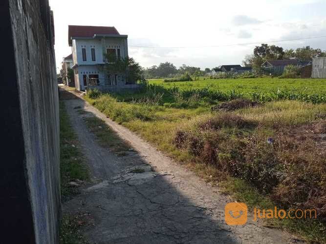 Tanah Utara Pabrik Sampoerna Berbah Jogjakarta(A.2236)