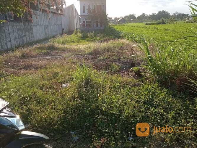 Tanah Utara Pabrik Sampoerna Berbah Jogjakarta(A.2236)