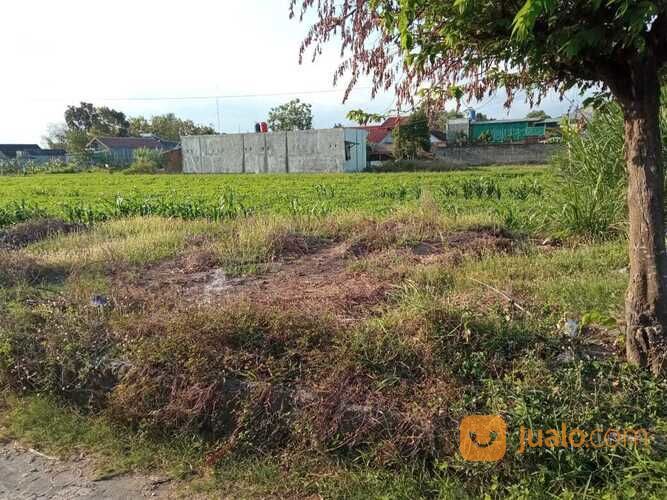 Tanah Utara Pabrik Sampoerna Berbah Jogjakarta(A.2236)