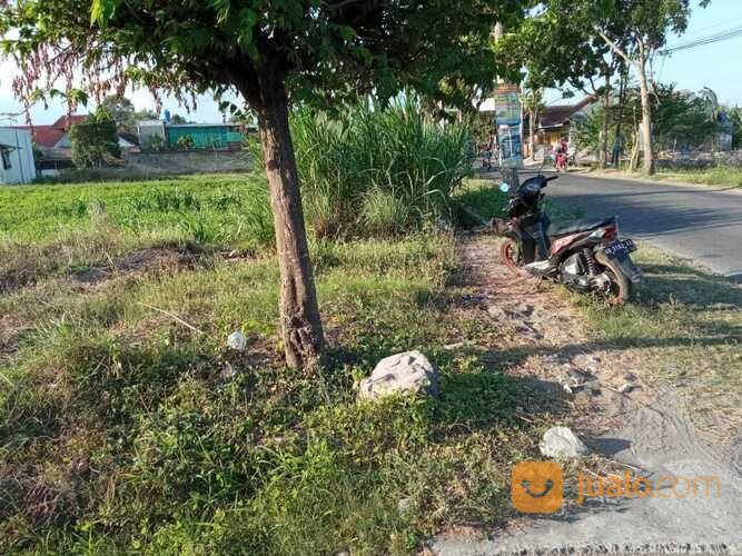 Tanah Utara Pabrik Sampoerna Berbah Jogjakarta(A.2236)