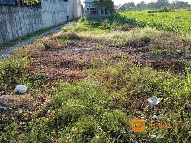 Tanah Utara Pabrik Sampoerna Berbah Jogjakarta(A.2236)