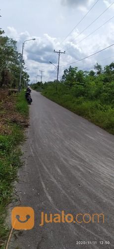 Buy Back Guarantee, Taman Mutiara Village Jalur Wisata Sambas, Laba 25%