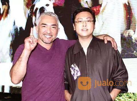 DOG TRAINER / Pelatih Anjing