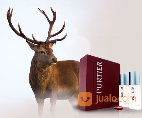 SUPLEMEN PURTIER PLACENTA SIXTH EDITION EDISI 6 TERBARU