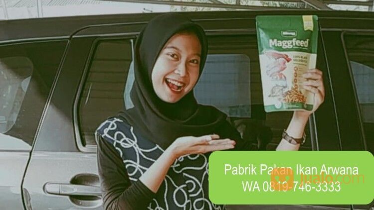 BUTUH BANYAK RESELLER, WA 08I9-746-3333,Grosir Pakan Ikan Arwana Harga Pabrik