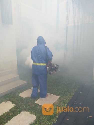 Jasa Anti Rayap Bali | Termite Control | Pest Control Bali