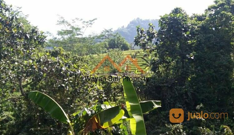 Tanah ITR Pariwisata Di Sidemen Karangasem Bali