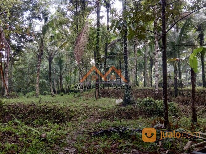 Tanah ITR Pariwisata Di Sidemen Karangasem Bali