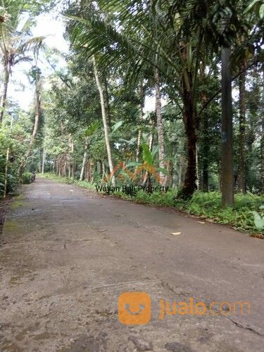 Tanah ITR Pariwisata Di Sidemen Karangasem Bali