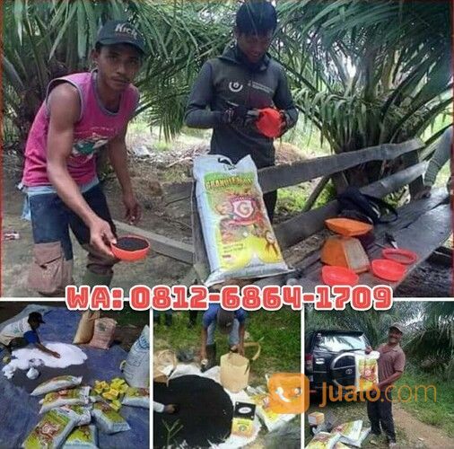 WA 0812-6864-1709 | Pupuk Kelapa Sawit Di Medan